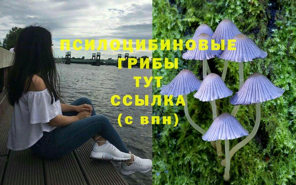 MDMA Богданович