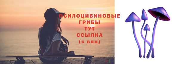 прущая мука Богородск