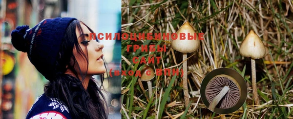 прущая мука Богородск