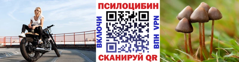 Псилоцибиновые грибы мухоморы Волжский